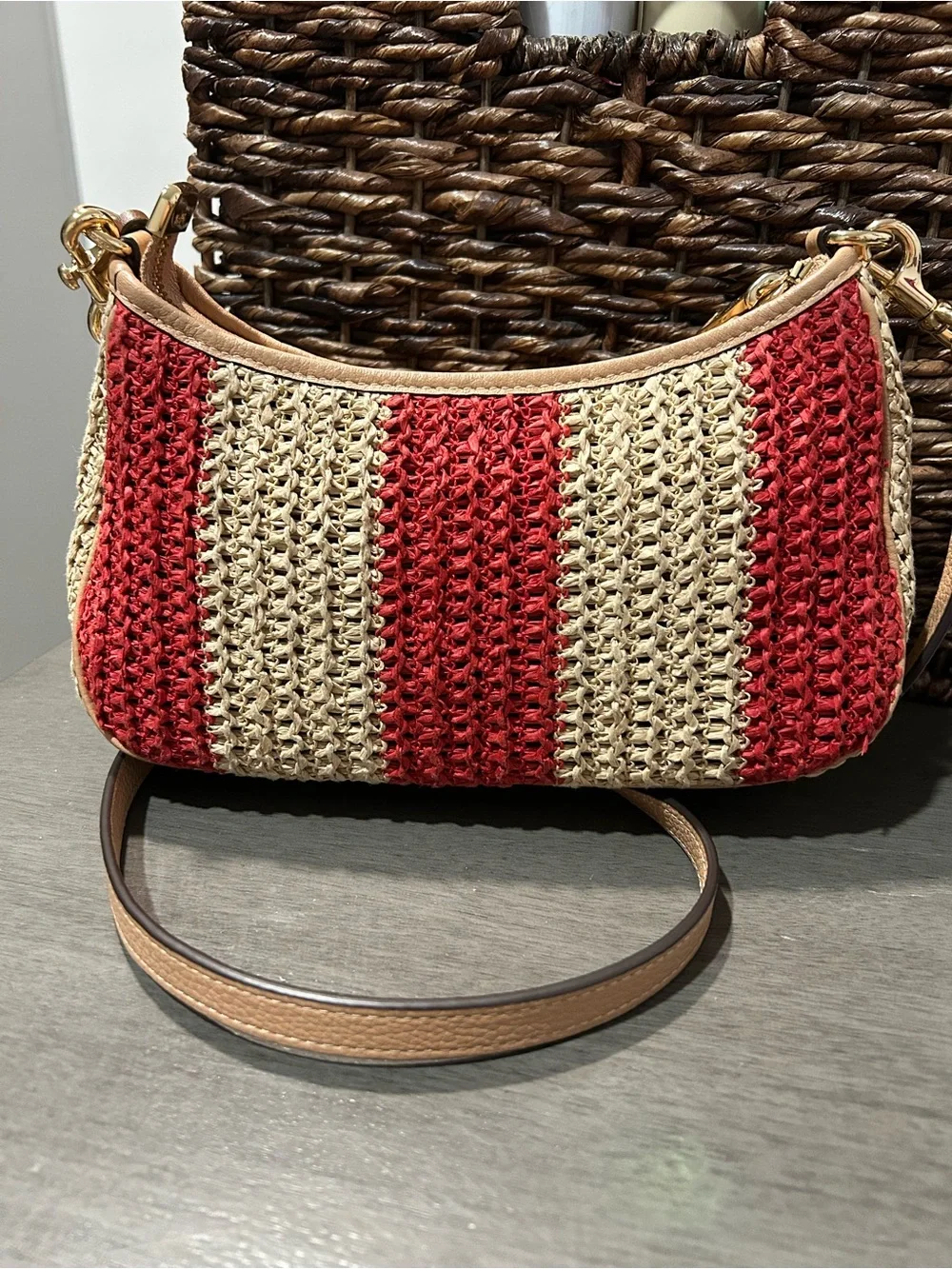 Coach Teri Shoulder bag & crossbody